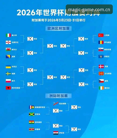 2026世界杯观赛困境深度解析：从签证风波看全球体育旅游变局